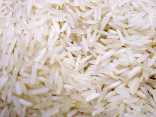polished rice