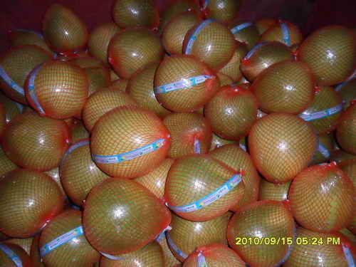 Frest Pomelo Grapefruit