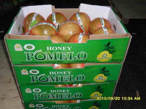 Guanxi Honey Pomelo