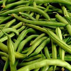 Blended Green Beans