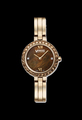 Gold stainless steel watch