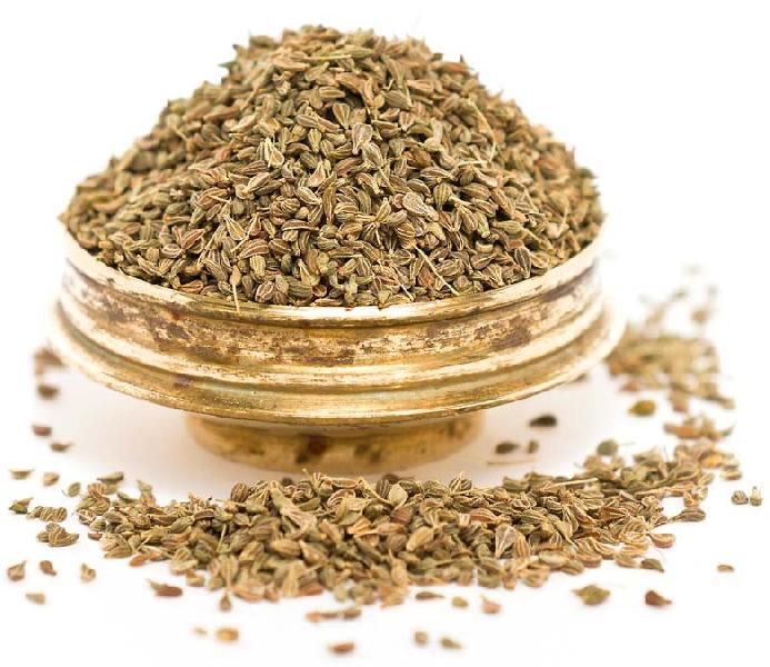 Ajwain Seed Manufacturer in Alappuzha Kerala India by V.V. Exports ID