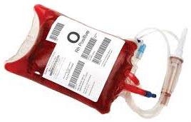 Blood Storage Bags