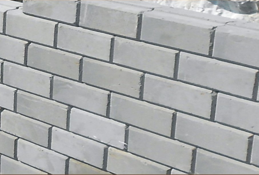 Fly ash bricks