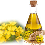 Mustard Oil