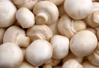 Fresh Button Mushroom, Color : White