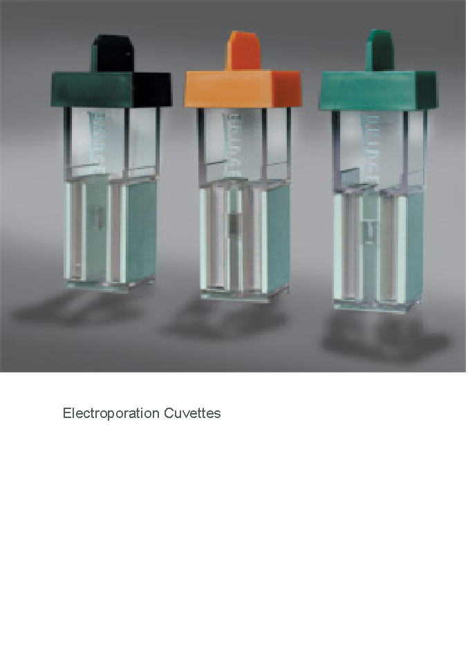 Electroporation Cuvettes Biosquarebio Technologies India Pvt Ltd