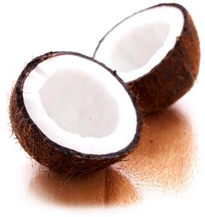 Coconut, Dry Coconut