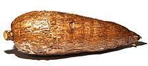 Cassava