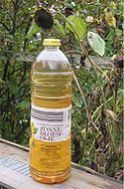 Zonnebloemolie (Sunflower Oil).jpg