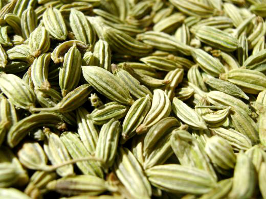 fennel seeds