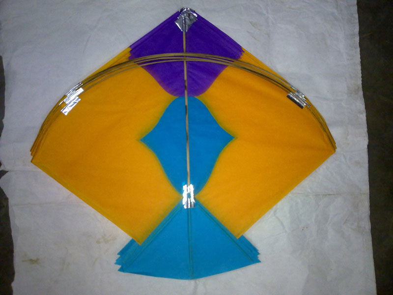 indian kite fighting