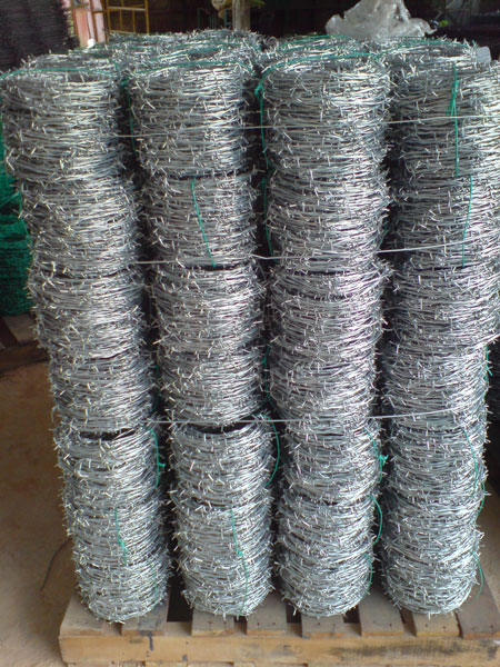 Galvanized Steel Barbed Wire