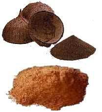 Coconut Shell, Coconut Shell Powder
