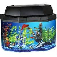 aquarium house fish tanks