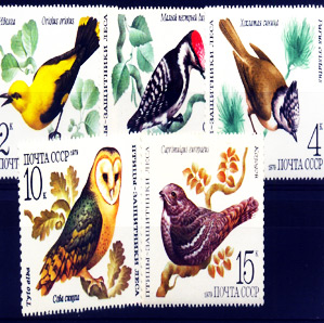 Birds stamp