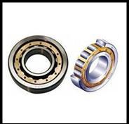 Cylindrical Roller Bearings