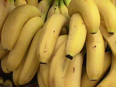 Organic fresh banana, for Food, Juice, Snacks, Packaging Type : Crate