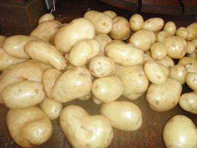 Organic Fresh Potatoes, for Cooking, Feature : Floury Texture, Good In Taste, Healthy, Non Harmul