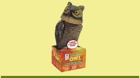 Garden Defense Electronic Owl
