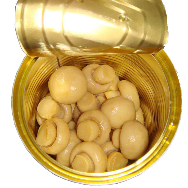 Canned Mushroom Whole Button