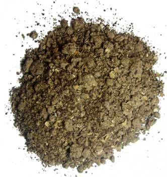 Indian Castor Seed Meal