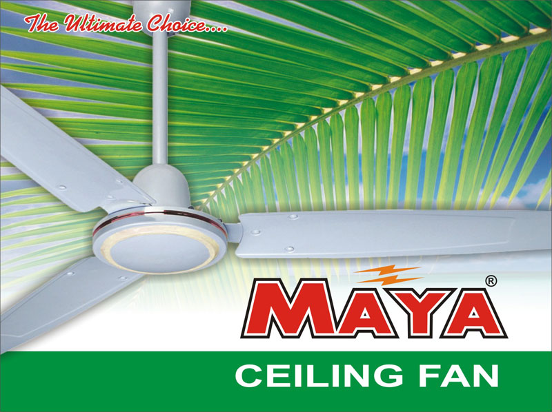 Electric Ceiling Fan