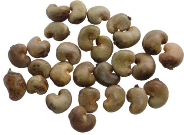 Local Raw Cashew Nut