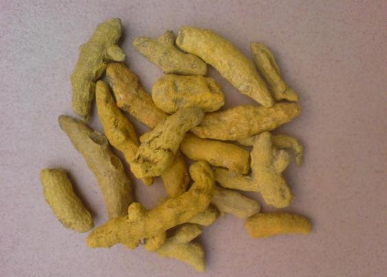 Dry Turmeric Fingure