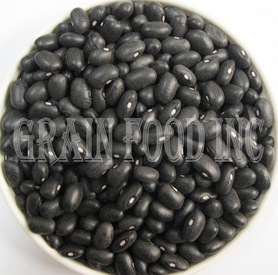 Black Turtle Beans, Small Black Kidney Bean