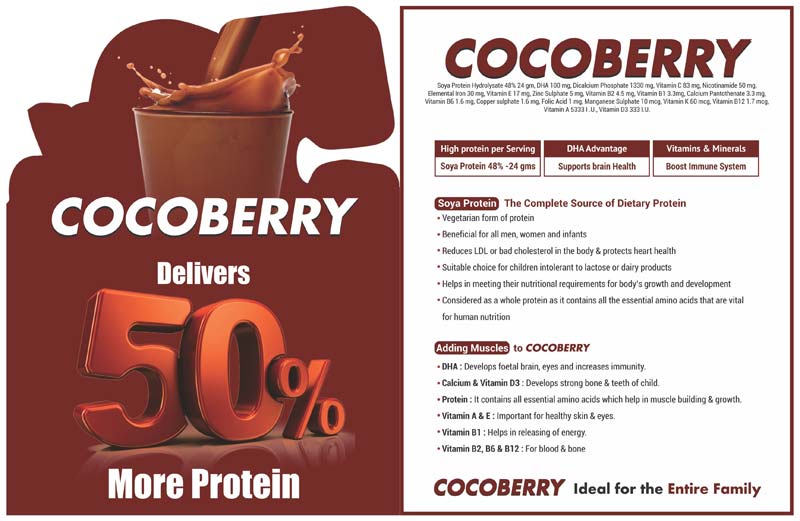 Cocoberry Protein Powder