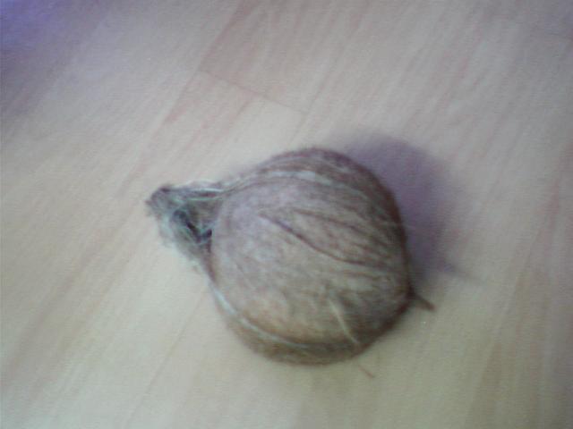 Common Semi Husk Coconut
