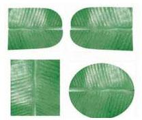 Green Paper Leaf
