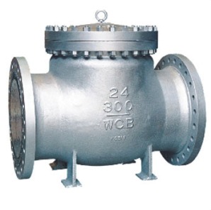 Check Valves