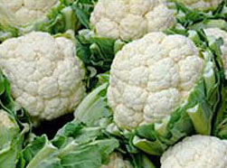 fresh cauliflower