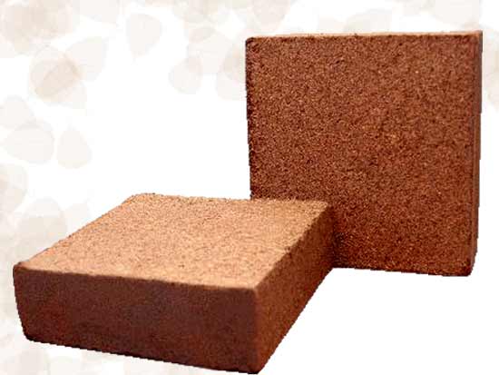 Coir Pith Blocks