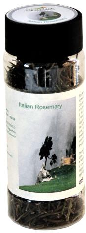 Italian Rosemary