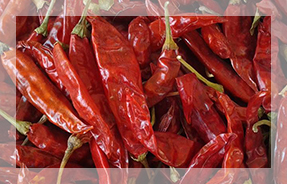 dry red chilli