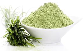 Wheatgrass Powder