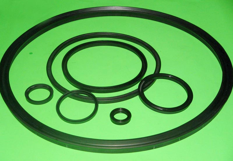 hydraulic seals