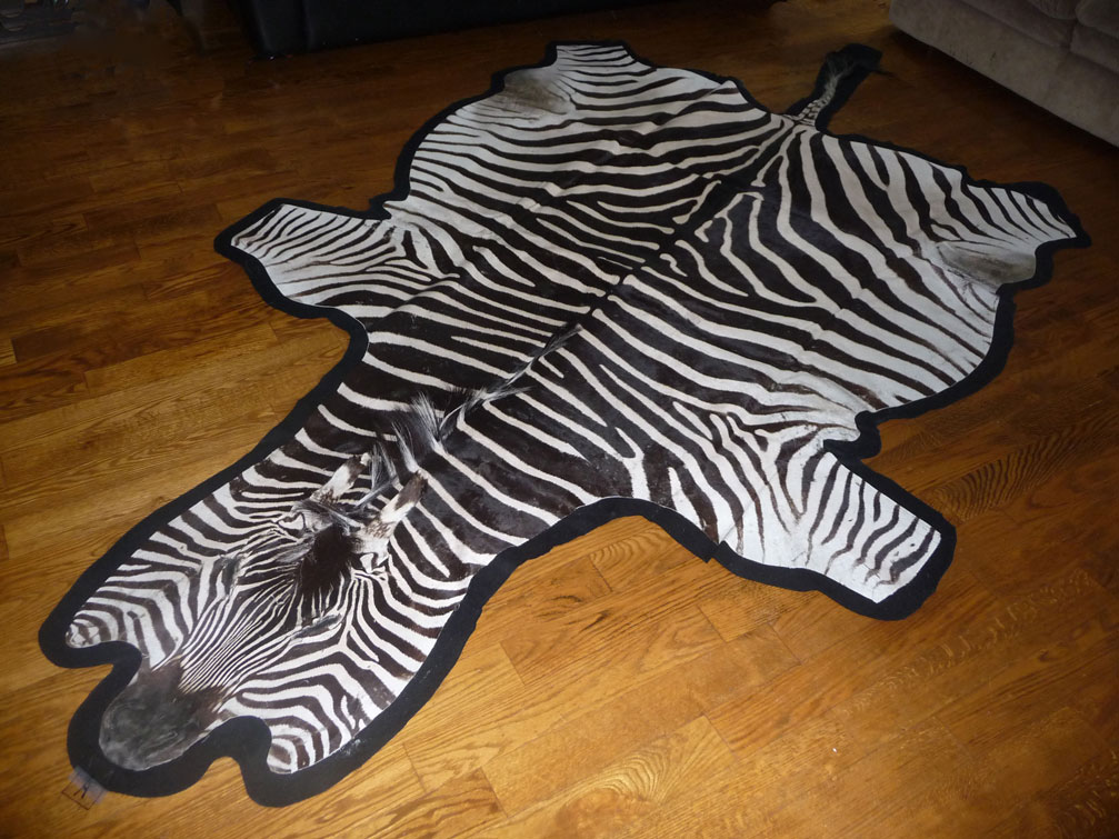 Decorate your house with a zebra skin rug