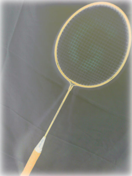Amar Jyoti Golden King Badminton