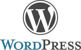 wordpress customization services