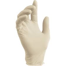 Disposable Vinyl Gloves