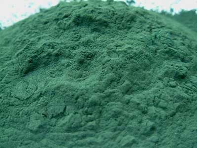 Spirulina powder