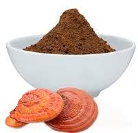 Red Reishi Mushroom Powder