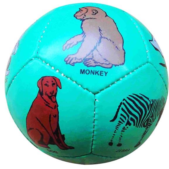 Mini Educational Soccer Ball