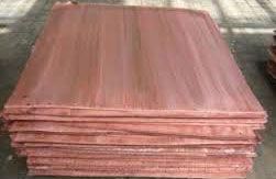 Copper Cathode 99.99%