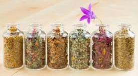 Herbal Medicine Project Consultancy Services