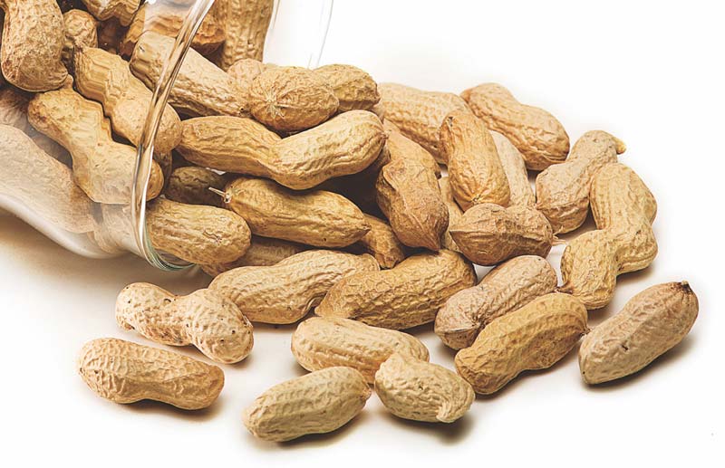 Shelled Groundnuts, Feature : Gluten Free, High In Protein
